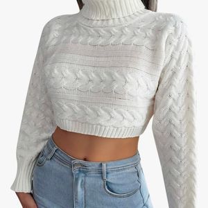 Turtleneck Braid Knit Crop Sweater